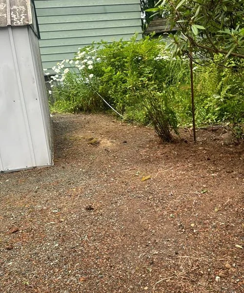 Landscaping Maintenance in Ballard 